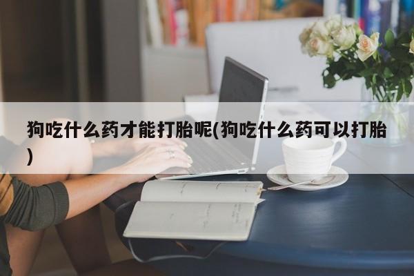 推荐个卖流产药的微信狗吃什么药才能打胎呢(狗吃什么药可以打胎)