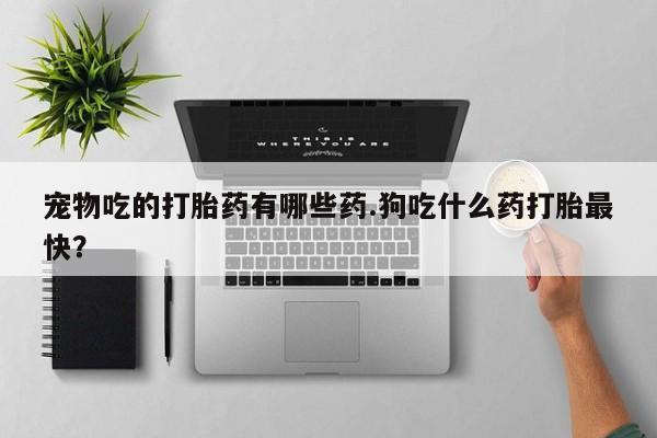 推荐个卖流产药的微信宠物吃的打胎药有哪些药.狗吃什么药打胎最快？