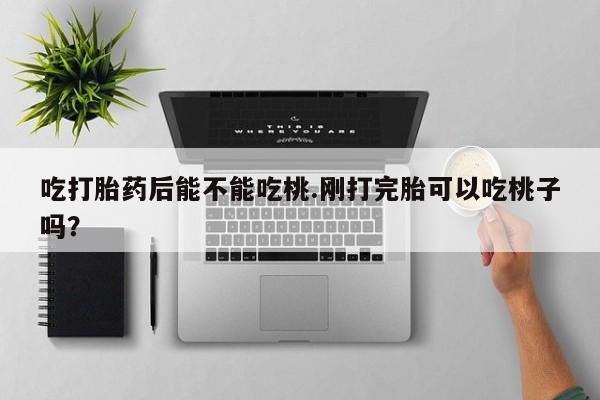 推荐个卖流产药的微信吃打胎药后能不能吃桃.刚打完胎可以吃桃子吗？